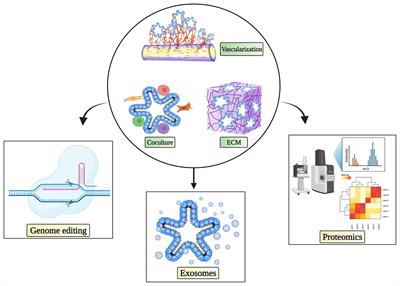 Patient-Derived Tumor Organoids: New Progress and Opportunities to Facilitate Precision Cancer Immunotherapy